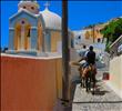 Santorini Donkeys